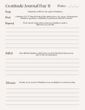 Load image into Gallery viewer, 21 Days of Gratitude Devotional Journal (SPECIAL BOGO 50% OFF BUNDLE)